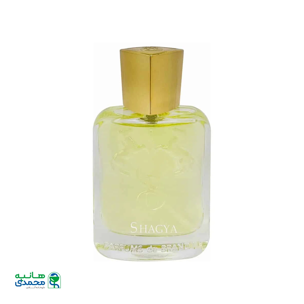 عطر جیبی مردانه برندینی مدل Shagya